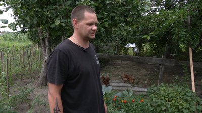 Живе серед курей та харчується рибою й жабами: на Чернігівщині житель Коропа доглядає за лелекою без крила