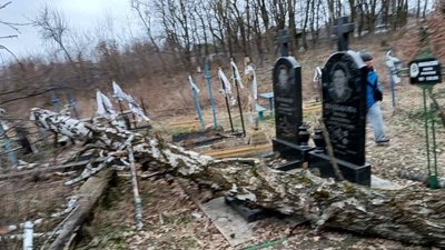 Повалені дерева і пошкоджені могили — через північ Житомирщини просувався локальний атмосферний фронт Повалені дерева і пошкоджені могили — через північ Житомирщини просувався локальний атмосферний фронт