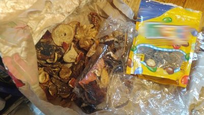 На Закарпатті поліцейські викрили подружжя, яке торгувало галюциногенами