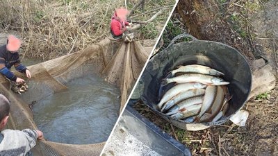 На Вінниччині п'ятеро чоловіків наловили риби на майже 13 мільйонів гривень