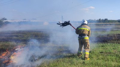 Пожежі на Миколаївщині: горів ліс, будинки, суха трава та сміття