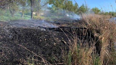 У Кривому Розі через палаючий очерет двоє дітей отримали опіки