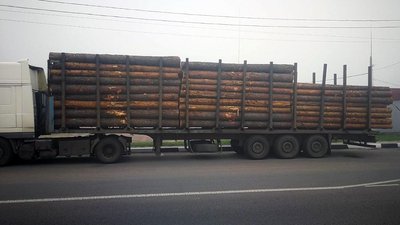 На Житомирщині поліцейські затримали фуру з лісом без документів На Житомирщині поліцейські затримали фуру з лісом без документів