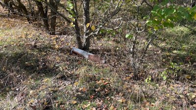 Поліцейські та вибухотехніки розміновують територію деокупованої Заградівки на Херсонщині під постійними обстрілами Поліцейські та вибухотехніки розміновують територію деокупованої Заградівки на Херсонщині під постійними обстрілами