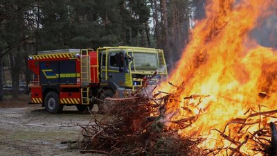 Лісові пожежі на Кіровоградщині – скільки сталось на початку року – Суспільне