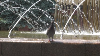 Синоптики прогнозують зміну погоди на Франківщині: чого очікувати та як це вплине на здоров’я Синоптики прогнозують зміну погоди на Франківщині: чого очікувати та як це вплине на здоров’я