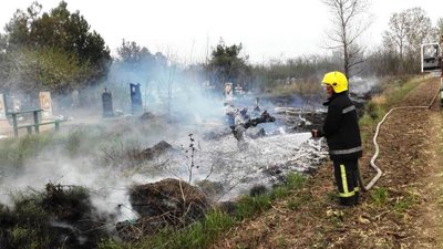 На Херсонщині знову горів сухостій: ліквідовано 7 пожеж за добу