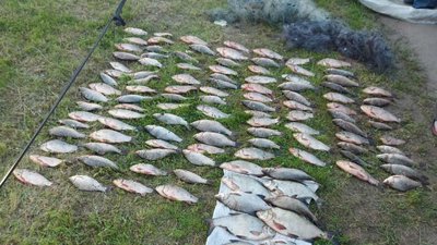 На Дніпропетровщині трьох рибалок підозрюють у вилові риби під час нерестової заборони