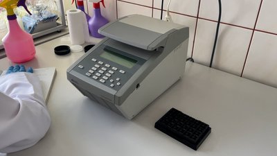 Досліджують рак, інфаркти та інсульти: як працює наукова лабораторія молекулярно-генетичних досліджень у Сумах Досліджують рак, інфаркти та інсульти: як працює наукова лабораторія молекулярно-генетичних досліджень у Сумах