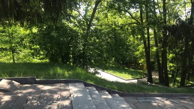 В 20 – 25 разів стало більше: на Житомирщині збільшилася кількість комарів