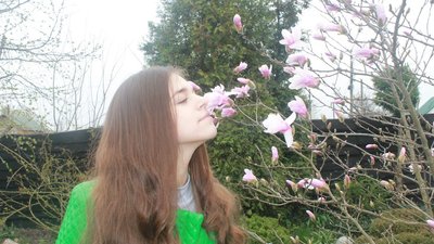 Ванільний аромат в подвір'ї: про досвід вирощування магнолій на Черкащині Ванільний аромат в подвір'ї: про досвід вирощування магнолій на Черкащині