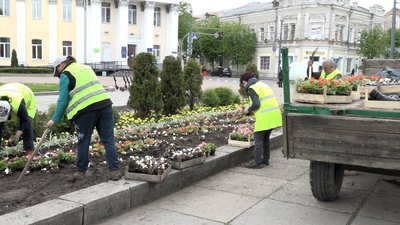 У Житомирі планують висадити 90 тисяч однорічних рослин У Житомирі планують висадити 90 тисяч однорічних рослин