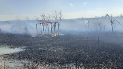 10 дачних будинків згоріли на Львівщині через підпал сухостою