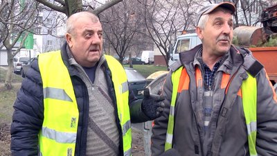 Менше, ніж торік: як у Луцьку збирають та утилізують новорічні дерева Менше, ніж торік: як у Луцьку збирають та утилізують новорічні дерева
