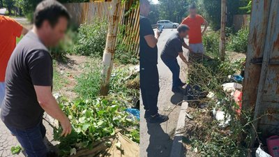 Несанкціоновані сміттєзвалища та будівельне сміття: в Ужгороді склали 13 протоколів на порушників Несанкціоновані сміттєзвалища та будівельне сміття: в Ужгороді склали 13 протоколів на порушників