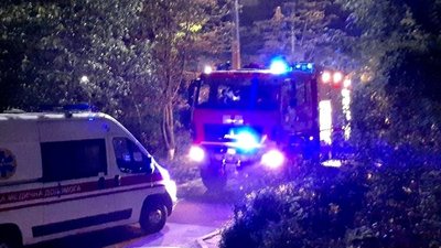 Рятувальники Херсонщини під час пожежі врятували чоловіка і кота