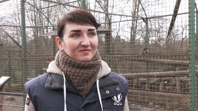 Рівненський зоопарк шукає волонтерів на вихідні та святкові дні Рівненський зоопарк шукає волонтерів на вихідні та святкові дні