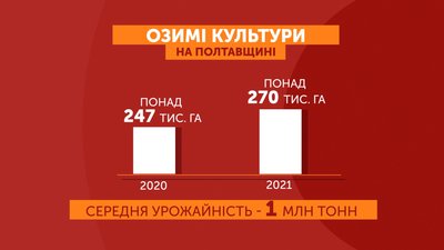 Графіка: озимі культури на Полтавщині Графіка: озимі культури на Полтавщині
