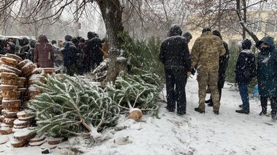 Відсутність штрих-кодів та помилки в документах. Екоінспекція перевіряє ялинкові ярмарки