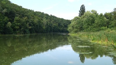 На Житомирщині через аварію на насосній станції у річці Тетерів гине риба На Житомирщині через аварію на насосній станції у річці Тетерів гине риба