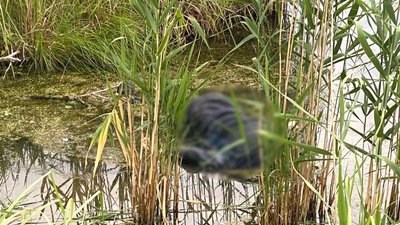 У Кременчуцькому районі у водоймі виявили тіло чоловіка