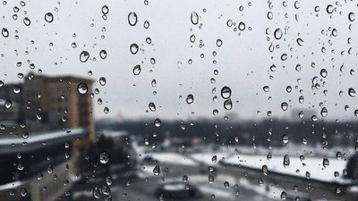 Погода на Закарпатті 11 жовтня 2025 року