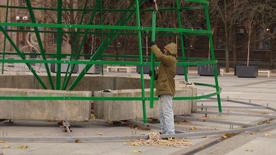 Промислові альпіністи збирають головна новорічна ялинку в Миколаєві Промислові альпіністи збирають головна новорічна ялинку в Миколаєві