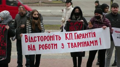 У Херсоні мітингували люди, які захищають безпритульних тварин: чого вимагали