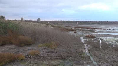 Вміст цинку та свинцю у воді Куяльницького лиману на Одещині перевищує норму у п’ять разів Вміст цинку та свинцю у воді Куяльницького лиману на Одещині перевищує норму у п’ять разів