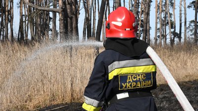 Пожежа в екосистемі на Харківщині Пожежа в екосистемі на Харківщині