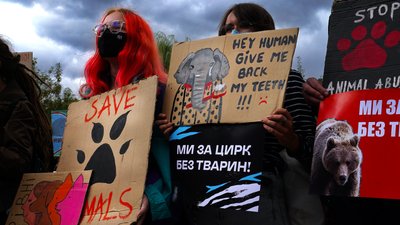 "Цінне кожне життя". В Україні відбувся Марш за права тварин. СУСПІЛЬНЕ | ВІДЕОНОВИНИ
