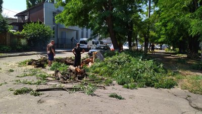 На Миколаївщині ліквідують наслідки негоди