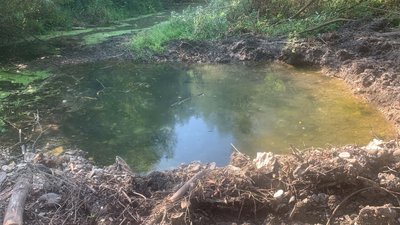 золота липа, екологія, довкілля, розрили дорогу, річка, вода