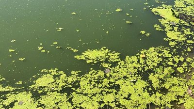 Ексдиректору комунального підприємства Житомира повідомили про підозру через аварійний скид стічних вод у річку Ексдиректору комунального підприємства Житомира повідомили про підозру через аварійний скид стічних вод у річку