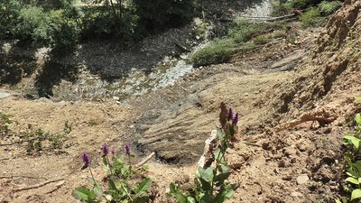 Негода у Космачі. Яких збитків завдала стихія Негода у Космачі. Яких збитків завдала стихія