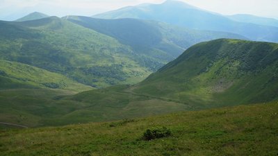 330 га Свидовця передають в оренду, ще 520 га виставили на аукціон