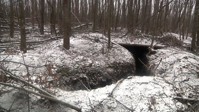 Сліди сучасної війни майже під кожним деревом. Пошуковці показали як виглядає замінований ліс на деокупованій Донеччині Сліди сучасної війни майже під кожним деревом. Пошуковці показали як виглядає замінований ліс на деокупованій Донеччині