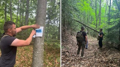 В Ужанському нацпарку на Закарпатті оновили туристичний маршрут на гору Голаня