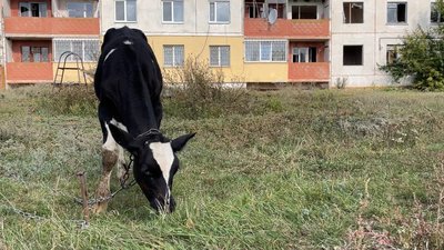 Били за проукраїнську позицію: як живе деокуповане Яковенкове на Харківщині