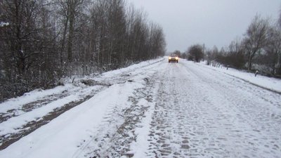 На Житомирщині від тілесних ушкоджень, отриманих у ДТП, помер 48-річний чоловік На Житомирщині від тілесних ушкоджень, отриманих у ДТП, помер 48-річний чоловік