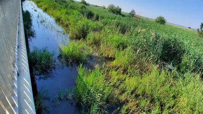 Велика вода на Одещині: рівень річок Дністер та Турунчук продовжує підвищуватися