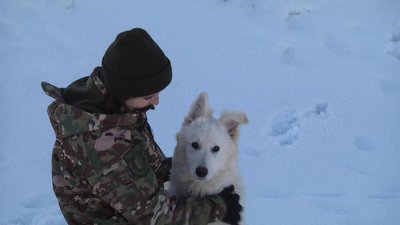 Кінолог Хмельницький, собака Хмельницький Кінолог Хмельницький, собака Хмельницький