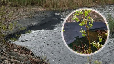 У Кременчуці стан води у Дніпрі у межах норми після обстрілу: що показали аналізи