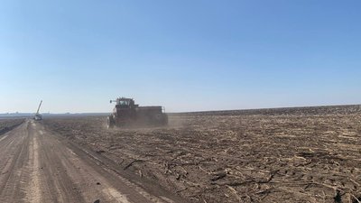 Посіяли ранні зернові та зернобобові культури