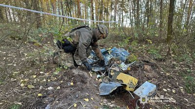 На Чернігівщині вибухотехніки поліції знешкодили бойову частину російського ударного БпЛА