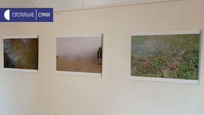 Посіяли пшеницю на підлозі виставкової зали: інсталяція харківської мисткині у Сумах Посіяли пшеницю на підлозі виставкової зали: інсталяція харківської мисткині у Сумах