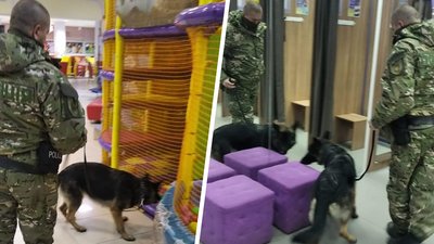 Супермаркети і торгові центри: поліція не знайшла вибухівки у 38 закладах Харкова