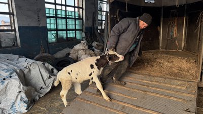 Евакуація