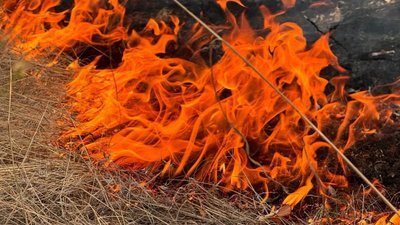 Гідрометцентр попереджає про пожежну небезпеку на Сумщині