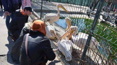 В Одесі відкрився зоопарк. ФОТО В Одесі відкрився зоопарк. ФОТО